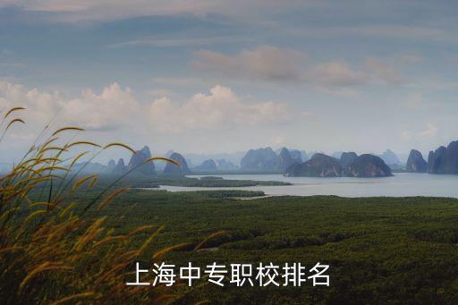上海中專職校排名