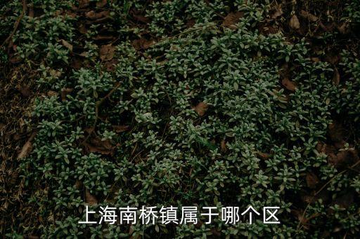 上海南橋鎮屬于哪個區