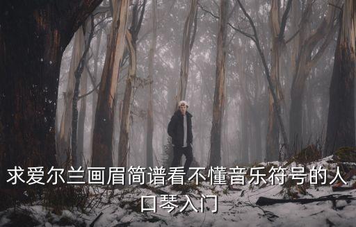 愛爾蘭畫眉口琴簡譜，求愛爾蘭畫眉簡譜看不懂音樂符號的人口琴入門