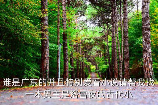 男女主角在廣州的小說，但是出國后就分手了后來男主去了西藏女主為了追回男主去了廣