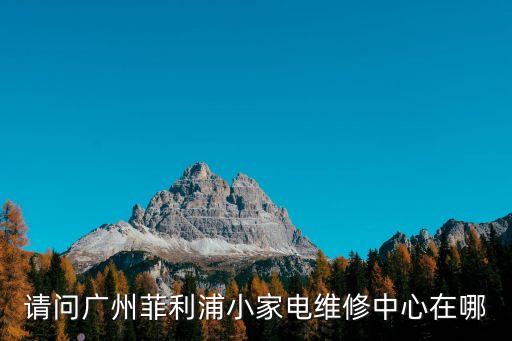 廣州菲斯曼維修電，請(qǐng)問(wèn)廣州菲利浦小家電維修中心在哪