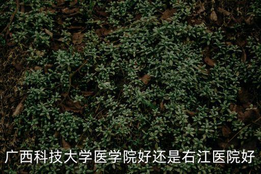 廣西科技大學醫學院好還是右江醫院好