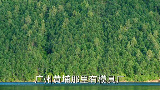 廣州黃埔區香雪旁邊的廠，廣州黃埔區這邊有什么工廠