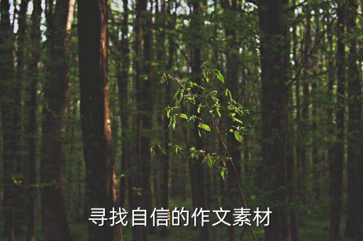 尋找自信的作文素材