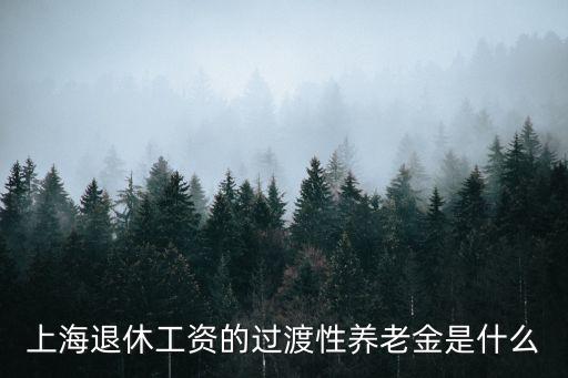上海市退休過渡性調(diào)節(jié)金如何計算，上海退休工資的過渡性養(yǎng)老金是什么