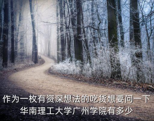 作為一枚有資深想法的吃貨想要問一下華南理工大學廣州學院有多少