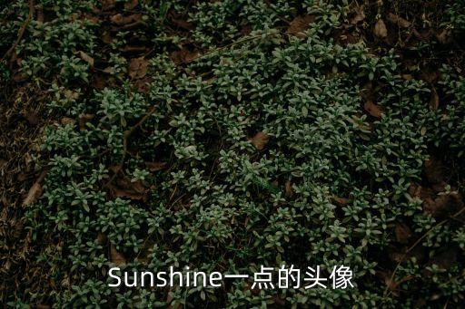 Sunshine一點的頭像