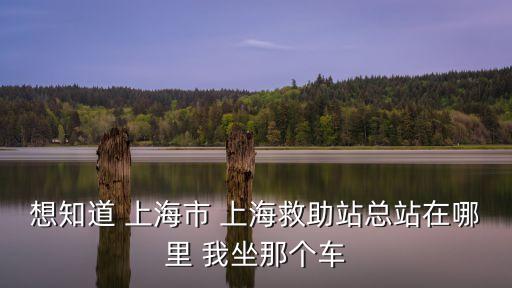 摩洛哥 上海市救助管理站，想知道 上海市 上海救助站總站在哪里 我坐那個車