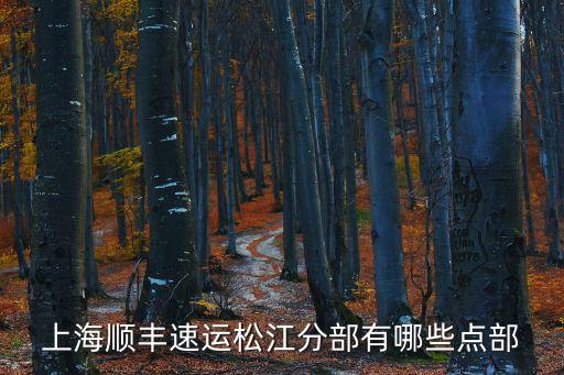 上海順豐速運(yùn)松江分部有哪些點(diǎn)部