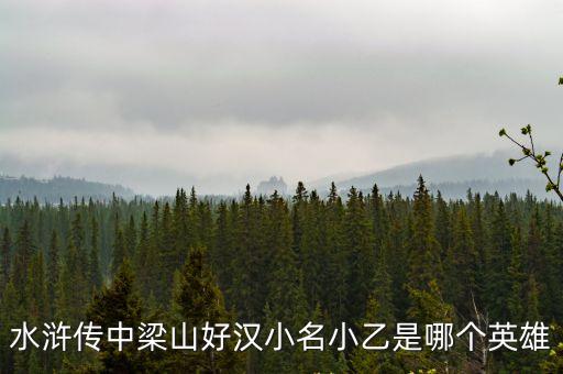 小乙，水滸傳中人稱小乙的是誰