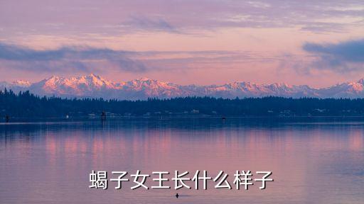 蝎子女王長(zhǎng)什么樣子