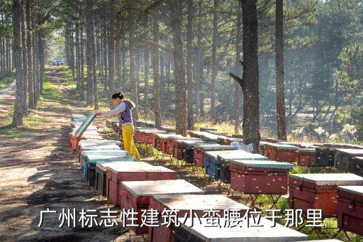 廣州標志性建筑小蠻腰位于那里