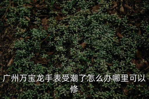 萬寶龍廣州正規維修，廣州萬寶龍手表受潮了怎么辦哪里可以修