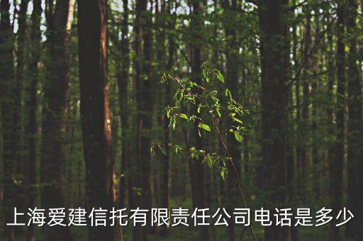 上海愛建信托有限責任公司電話是多少