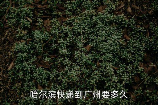 哈爾濱快遞到廣州要多久