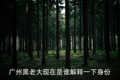 廣州黑老大現在是誰解釋一下身份