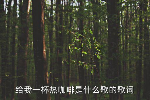 給我一杯熱咖啡是什么歌的歌詞