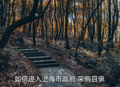 如何進(jìn)入上海市政府 采購(gòu)目錄