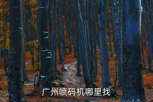 廣州噴碼機哪里找
