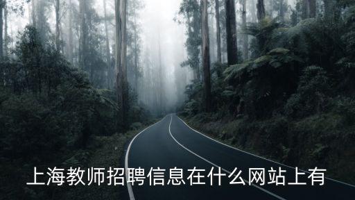 上海市政治老師招聘，上海教師招聘信息在什么網站上有
