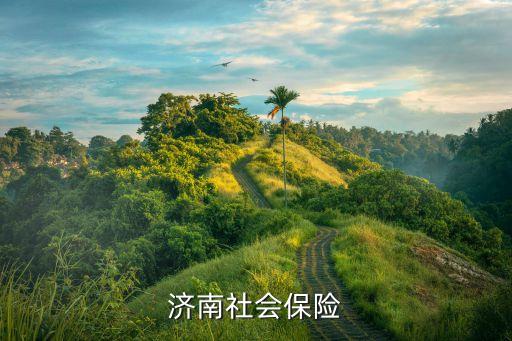 濟南市社保局官網，濟南市查詢養老保險醫療保險的網址有知道的嗎