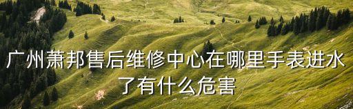 廣州蕭邦維修中國售后，廣州蕭邦手表維修電話
