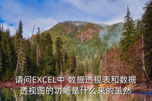 請問EXCEL中 數據透視表和數據透視圖的功能是什么來的雖然