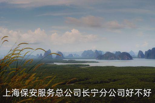 上海保安服務總公司長寧分公司好不好