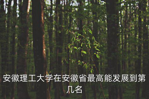 安徽理工大學在安徽省最高能發展到第幾名