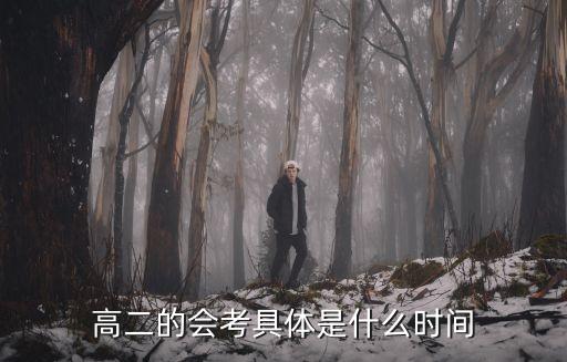 高二的會考具體是什么時間