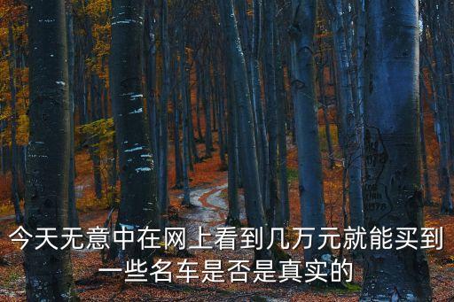 今天無意中在網上看到幾萬元就能買到一些名車是否是真實的