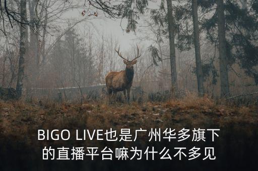 BIGO LIVE也是廣州華多旗下的直播平臺嘛為什么不多見