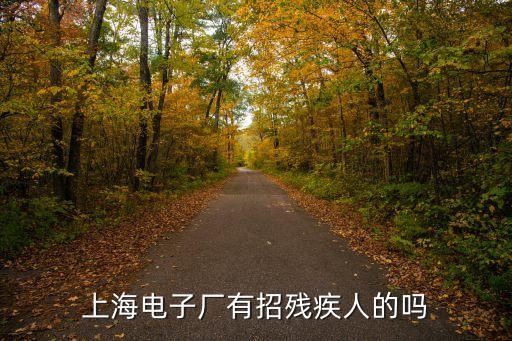 上海電子廠有招殘疾人的嗎