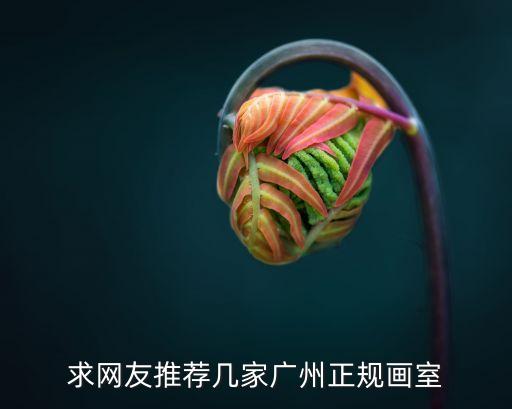 廣州半封閉畫室，求網友推薦幾家廣州正規畫室