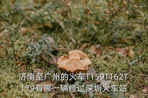 濟南至廣州的火車T159T162T179有哪一輛經過深圳火車站
