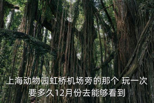 上海動物園虹橋機場旁的那個 玩一次要多久12月份去能夠看到