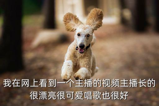 我在網上看到一個主播的視頻主播長的很漂亮很可愛唱歌也很好
