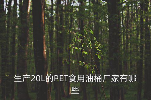 生產20L的PET食用油桶廠家有哪些