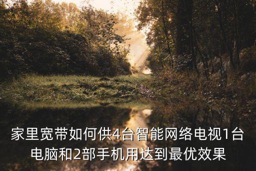 網絡智能，網絡智能電視的主板保修時間是多久我買的電
