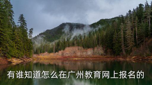 有誰知道怎么在廣州教育網上報名的