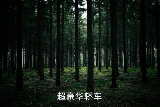 賓利新車發布會廣州，超豪華轎車