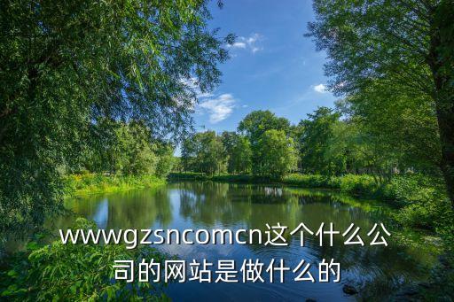 wwwgzsncomcn這個什么公司的網站是做什么的