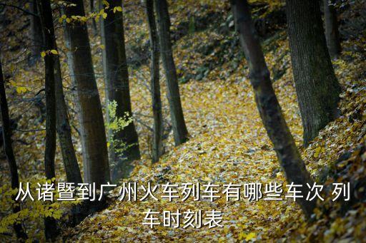 白諸廣州時刻表，從諸暨到廣州火車列車有哪些車次 列車時刻表