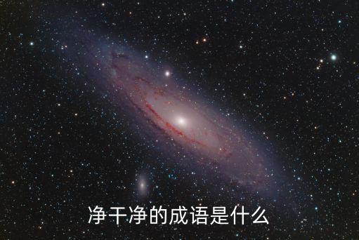 干凈的成語，凈干凈的成語是什么