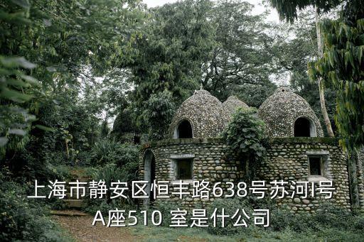 上海市謙自金有限公司，現在上海市黃浦區延安東路588號東海商業中心大廈東樓4樓是什么公司