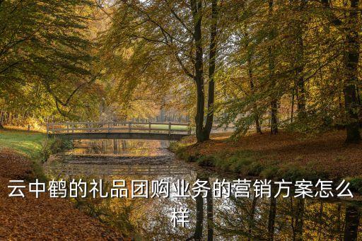 云中鶴的禮品團購業務的營銷方案怎么樣
