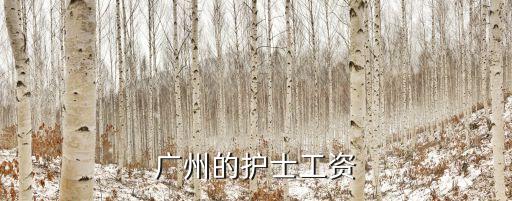 廣州三甲醫院護士工資標準，廣州三級甲等醫院護士的工資大約多少謝謝