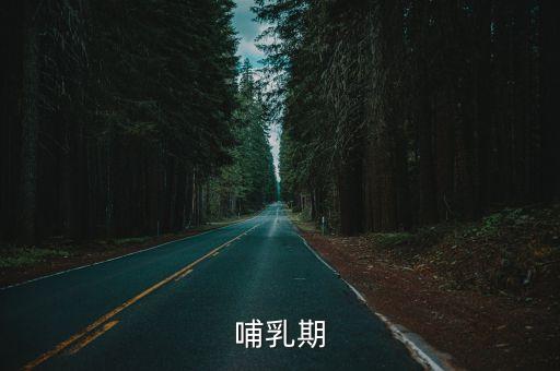 女性哺乳期，女人哺乳期會懷孕嗎