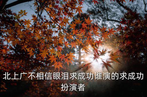 廣州壹心文化傳媒有限公司，北上廣這部電視劇講了什么呢講