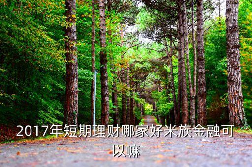 2017年短期理財哪家好米族金融可以嘛